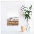Picture of Home on a Hill _GroupedProduct_Rectangle_Portrait_Photography _GroupedProduct_Rectangle_Portrait_Unframed_Print_Only_