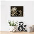 Picture of Beautiful Blooms _GroupedProduct_Rectangle_Landscape_Photography _GroupedProduct_Rectangle_Landscape_Unframed_Print_Only_