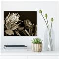 Picture of Beautiful Blooms _GroupedProduct_Rectangle_Landscape_Photography _GroupedProduct_Rectangle_Landscape_Unframed_Print_Only_