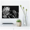 Picture of Beautiful Blooms _GroupedProduct_Rectangle_Landscape_Photography _GroupedProduct_Rectangle_Landscape_Unframed_Print_Only_