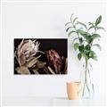 Picture of Beautiful Blooms _GroupedProduct_Rectangle_Landscape_Photography _GroupedProduct_Rectangle_Landscape_Unframed_Print_Only_