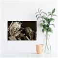 Picture of Beautiful Blooms _GroupedProduct_Rectangle_Landscape_Photography _GroupedProduct_Rectangle_Landscape_Unframed_Print_Only_