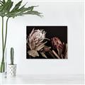Picture of Beautiful Blooms _GroupedProduct_Rectangle_Landscape_Photography _GroupedProduct_Rectangle_Landscape_Unframed_Print_Only_