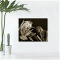 Picture of Beautiful Blooms _GroupedProduct_Rectangle_Landscape_Photography _GroupedProduct_Rectangle_Landscape_Unframed_Print_Only_