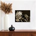 Picture of Beautiful Blooms _GroupedProduct_Rectangle_Landscape_Photography _GroupedProduct_Rectangle_Landscape_Unframed_Print_Only_