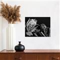 Picture of Beautiful Blooms _GroupedProduct_Rectangle_Landscape_Photography _GroupedProduct_Rectangle_Landscape_Unframed_Print_Only_