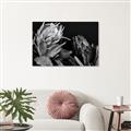 Picture of Beautiful Blooms _GroupedProduct_Rectangle_Landscape_Photography _GroupedProduct_Rectangle_Landscape_Unframed_Print_Only_