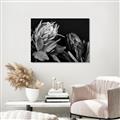 Picture of Beautiful Blooms _GroupedProduct_Rectangle_Landscape_Photography _GroupedProduct_Rectangle_Landscape_Unframed_Print_Only_
