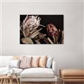 Picture of Beautiful Blooms _GroupedProduct_Rectangle_Landscape_Photography _GroupedProduct_Rectangle_Landscape_Unframed_Print_Only_