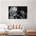 Picture of Beautiful Blooms _GroupedProduct_Rectangle_Landscape_Photography _GroupedProduct_Rectangle_Landscape_Unframed_Print_Only_