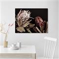 Picture of Beautiful Blooms _GroupedProduct_Rectangle_Landscape_Photography _GroupedProduct_Rectangle_Landscape_Unframed_Print_Only_