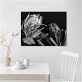 Picture of Beautiful Blooms _GroupedProduct_Rectangle_Landscape_Photography _GroupedProduct_Rectangle_Landscape_Unframed_Print_Only_