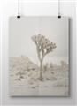 Picture of Dessert Tree _GroupedProduct_Rectangle_Landscape_Photography _GroupedProduct_Rectangle_Landscape_Unframed_Print_Only_