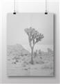 Picture of Dessert Tree _GroupedProduct_Rectangle_Landscape_Photography _GroupedProduct_Rectangle_Landscape_Unframed_Print_Only_
