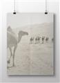 Picture of Camel Walk _GroupedProduct_Rectangle_Landscape_Photography _GroupedProduct_Rectangle_Landscape_Unframed_Print_Only_