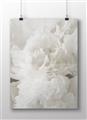Picture of Fluffy Florals _GroupedProduct_Rectangle_Landscape_Photography _GroupedProduct_Rectangle_Landscape_Unframed_Print_Only_