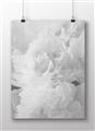 Picture of Fluffy Florals _GroupedProduct_Rectangle_Landscape_Photography _GroupedProduct_Rectangle_Landscape_Unframed_Print_Only_