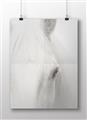 Picture of White horse _GroupedProduct_Rectangle_Landscape_Photography _GroupedProduct_Rectangle_Landscape_Unframed_Print_Only_