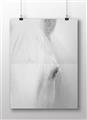 Picture of White horse _GroupedProduct_Rectangle_Landscape_Photography _GroupedProduct_Rectangle_Landscape_Unframed_Print_Only_