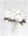 Picture of White Hydrangea I _GroupedProduct_Rectangle_Portrait_Unframed_Print_Only_