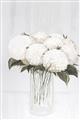Picture of White Hydrangea I _GroupedProduct_Rectangle_Portrait_Unframed_Print_Only_