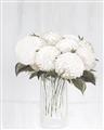 Picture of White Hydrangea I _GroupedProduct_Rectangle_Portrait_Unframed_Print_Only_