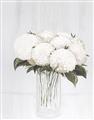Picture of White Hydrangea I _GroupedProduct_Rectangle_Portrait_Unframed_Print_Only_