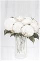Picture of White Hydrangea I _GroupedProduct_Rectangle_Portrait_Unframed_Print_Only_