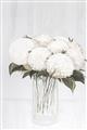 Picture of White Hydrangea I _GroupedProduct_Rectangle_Portrait_Unframed_Print_Only_