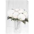 Picture of White Hydrangea I _GroupedProduct_Rectangle_Portrait_Unframed_Print_Only_