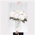 Picture of White Hydrangea I _GroupedProduct_Rectangle_Portrait_Canvas_