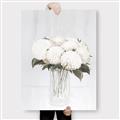 Picture of White Hydrangea I _GroupedProduct_Rectangle_Portrait_Canvas_