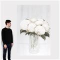 Picture of White Hydrangea I _GroupedProduct_Rectangle_Portrait_Canvas_