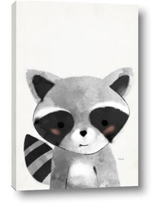 Picture of Curious Raccoon
