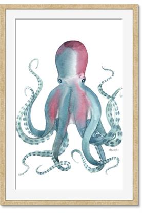 Picture of Octopus