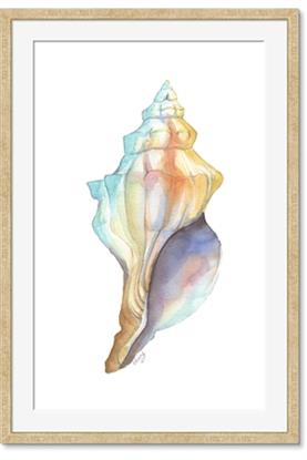 Picture of Seashell II