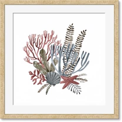 Picture of Ocean Coral l