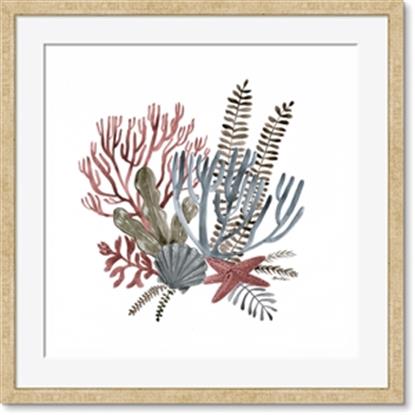 Picture of Ocean Coral l