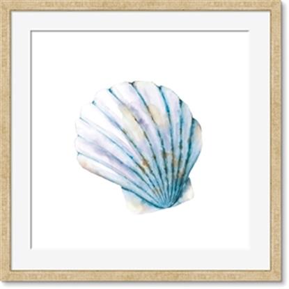 Picture of Watercolor shell III
