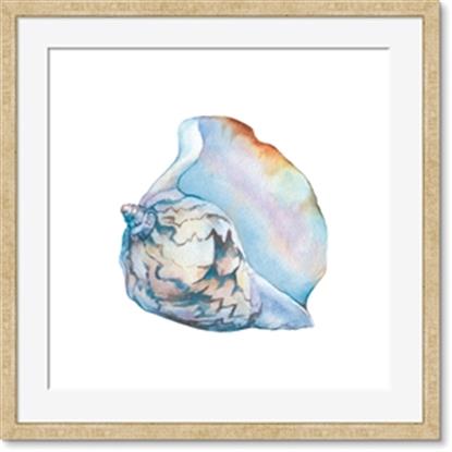 Picture of Watercolor shell I