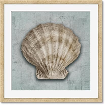 Picture of Vintage Shell I