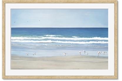 Picture of Birds on the Beach