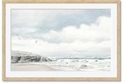 Picture of Birds on beach