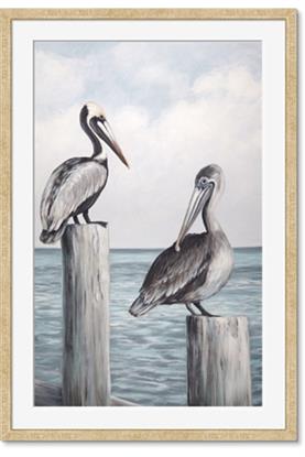 Picture of Observing Pelicans