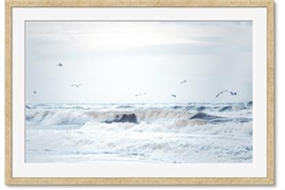 Picture of Seagulls Over the Water