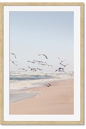 Picture of Beach Birds