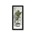 Picture of House Ficus _GroupedProduct_Panel_Portrait_Framed_Matted_