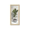 Picture of House Ficus _GroupedProduct_Panel_Portrait_Framed_Matted_