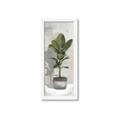 Picture of House Ficus _GroupedProduct_Panel_Portrait_Framed_Matted_