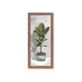 Picture of House Ficus _GroupedProduct_Panel_Portrait_Framed_Matted_